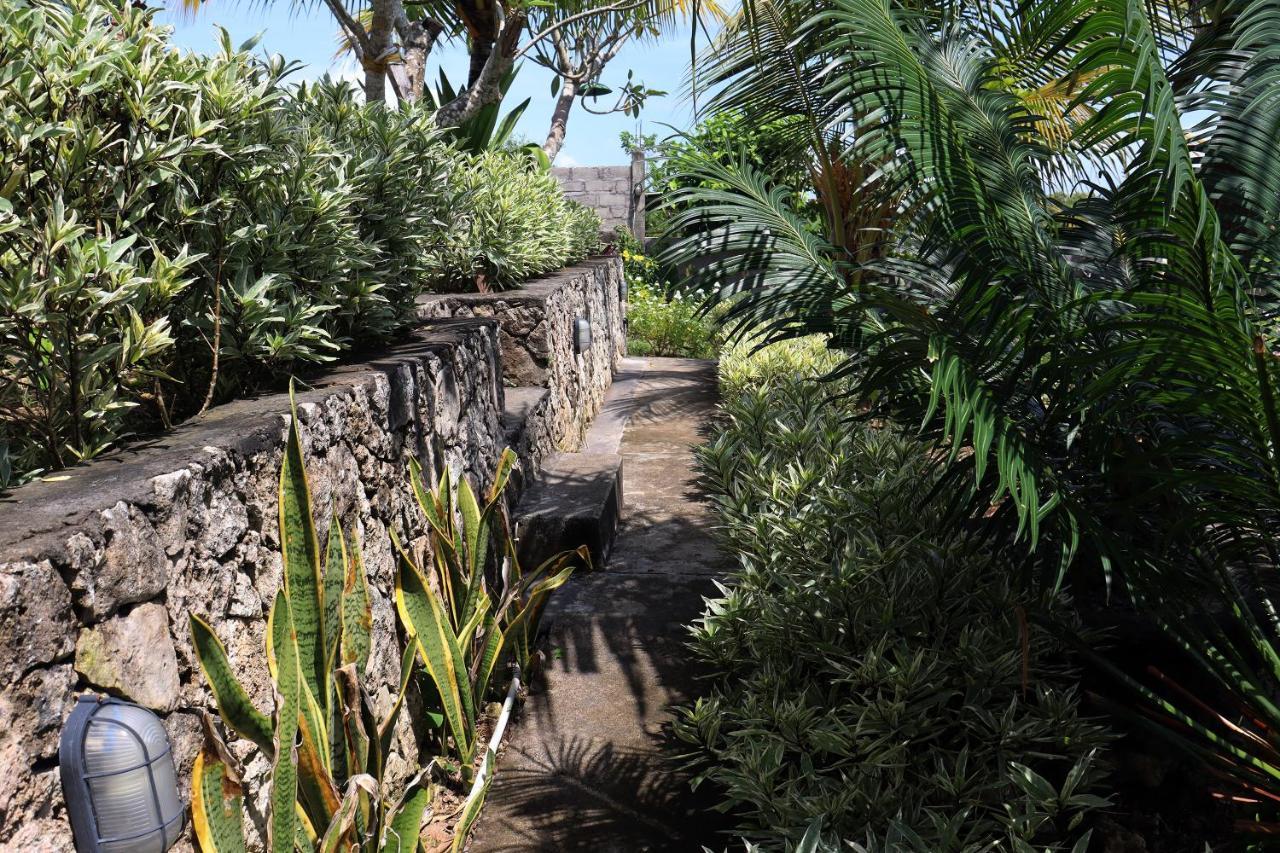 فندق Sunny Point Penida Ped المظهر الخارجي الصورة